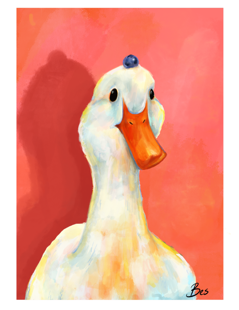 duckduck